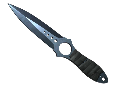 ★ StatTrak™ Skeleton Knife | Blue Steel (Well-Worn) — CS2 skin image