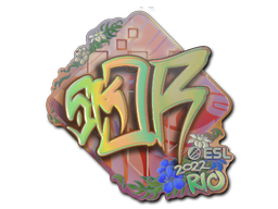 Sticker | sk0R (Holo) | Rio 2022 — CS2 skin image, Exotic rarity