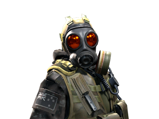 D Squadron Officer | NZSAS — скин CS2