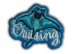 Patch | Cruising Ray — CS2 skin image, High Grade rarity