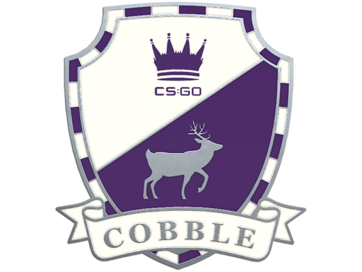 Cobblestone Pin — CS2 skin image, Remarkable rarity