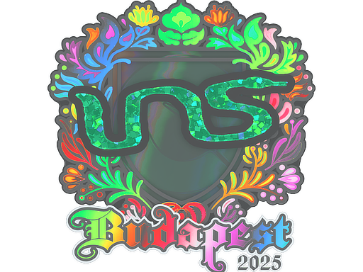 Sticker | INS (Holo) | Budapest 2025 — CS2 skin image, Exotic rarity