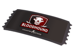 Operation Bloodhound Access Pass — CS2 skin image, Base Grade rarity