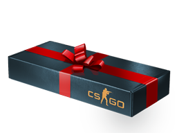Gift Package — CS2 skin image, Base Grade rarity