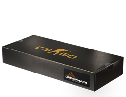 DreamHack 2013 Souvenir Package — источник коллекции