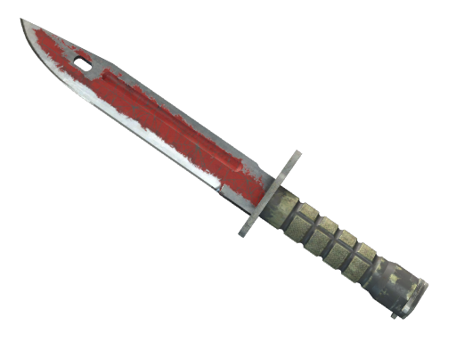 ★ StatTrak™ Bayonet | Crimson Web (Battle-Scarred) — CS2 skin image