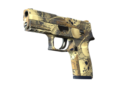P250 | Contamination — скин CS2