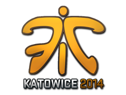 Sticker | Fnatic (Holo) | Katowice 2014 — CS2 skin image, Remarkable rarity