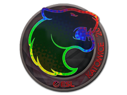 Sticker | FURIA (Holo) | Katowice 2019 — CS2 skin image, Remarkable rarity