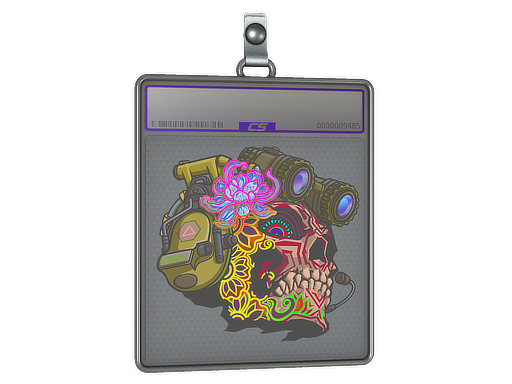 Sticker Slab | Lucas (Holo) — CS2 skin image, Remarkable rarity