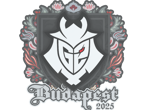 Sticker | G2 esports | Budapest 2025 — CS2 skin image, High Grade rarity
