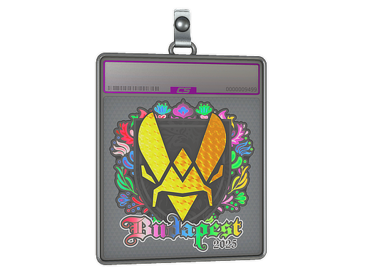 Sticker Slab | Vitality (Holo) | Budapest 2025 — CS2 skin image, Exotic rarity