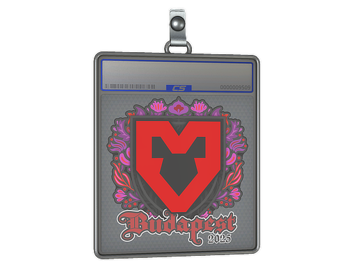 Sticker Slab | MOUZ | Budapest 2025 — CS2 skin image, High Grade rarity