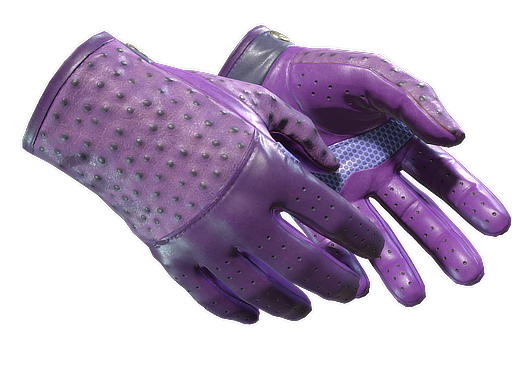 ★ Driver Gloves | Plum Quill (Field-Tested) — изображение скина CS2, редкость Extraordinary