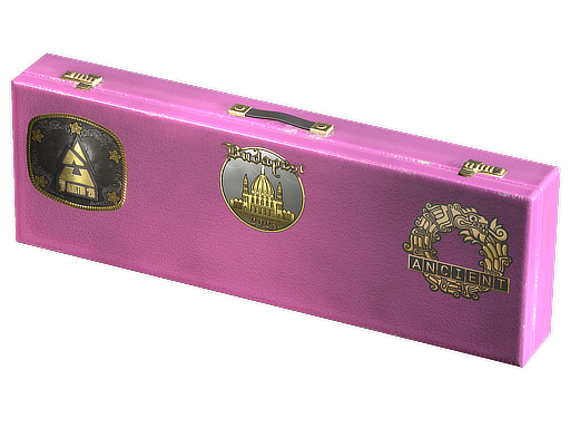 Budapest 2025 Ancient Souvenir Package — CS2 skin image, Base Grade rarity