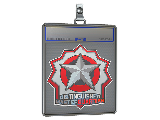 Sticker Slab | Distinguished Master Guardian — CS2 skin image, High Grade rarity
