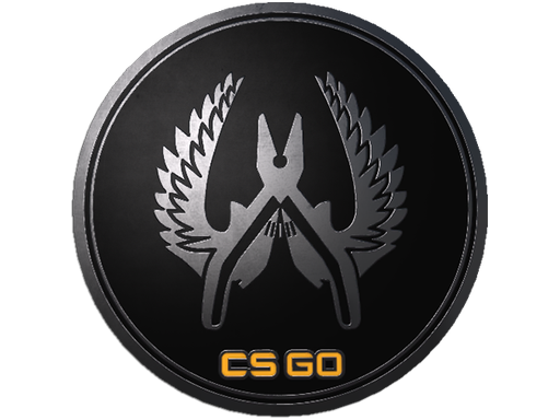 Guardian Elite Pin — CS2 skin image, Extraordinary rarity