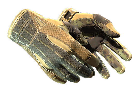 ★ Sport Gloves | Arid — скин CS2, редкость Extraordinary