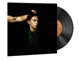 Music Kit | PVRIS, Evergreen — CS2 skin image, High Grade rarity