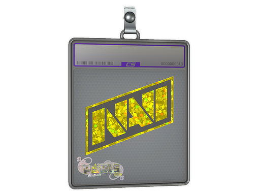 Sticker Slab | Natus Vincere (Glitter) | Paris 2023 — CS2 skin image, Remarkable rarity
