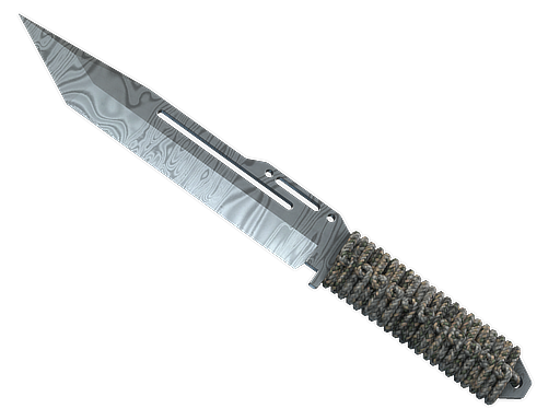★ StatTrak™ Paracord Knife | Damascus Steel — CS2 skin,  rarity