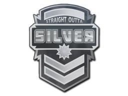Sticker | Silver — CS2 skin image, High Grade rarity